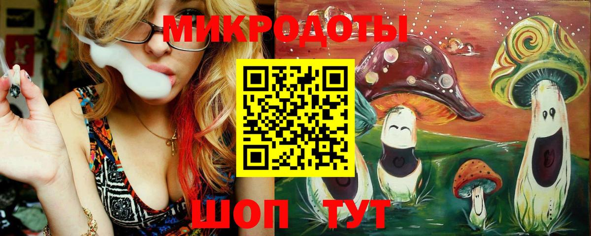 Галлюциногенные грибы MAGIC MUSHROOMS  Вход с VPN  Луга 